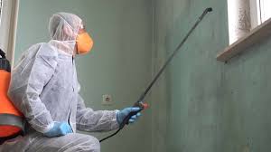 Best Mold Prevention Services  in Sewaren, NJ